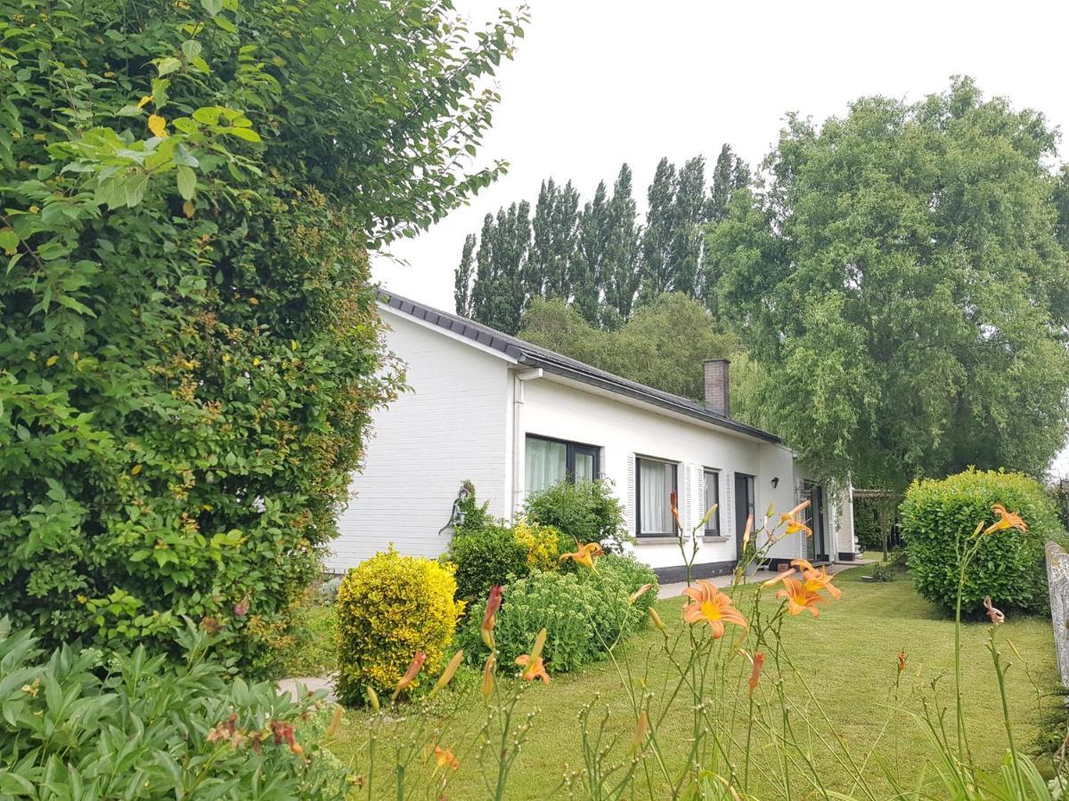 Mary'S Poppies - Bed & Breakfast Blandain Esterno foto